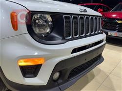 جيب رينيجيد